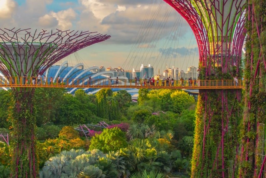 Singapore | Three Ways to Explore the Lion City