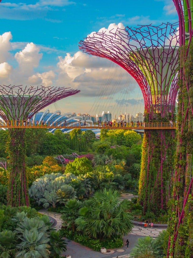 Singapore | Three Ways to Explore the Lion City