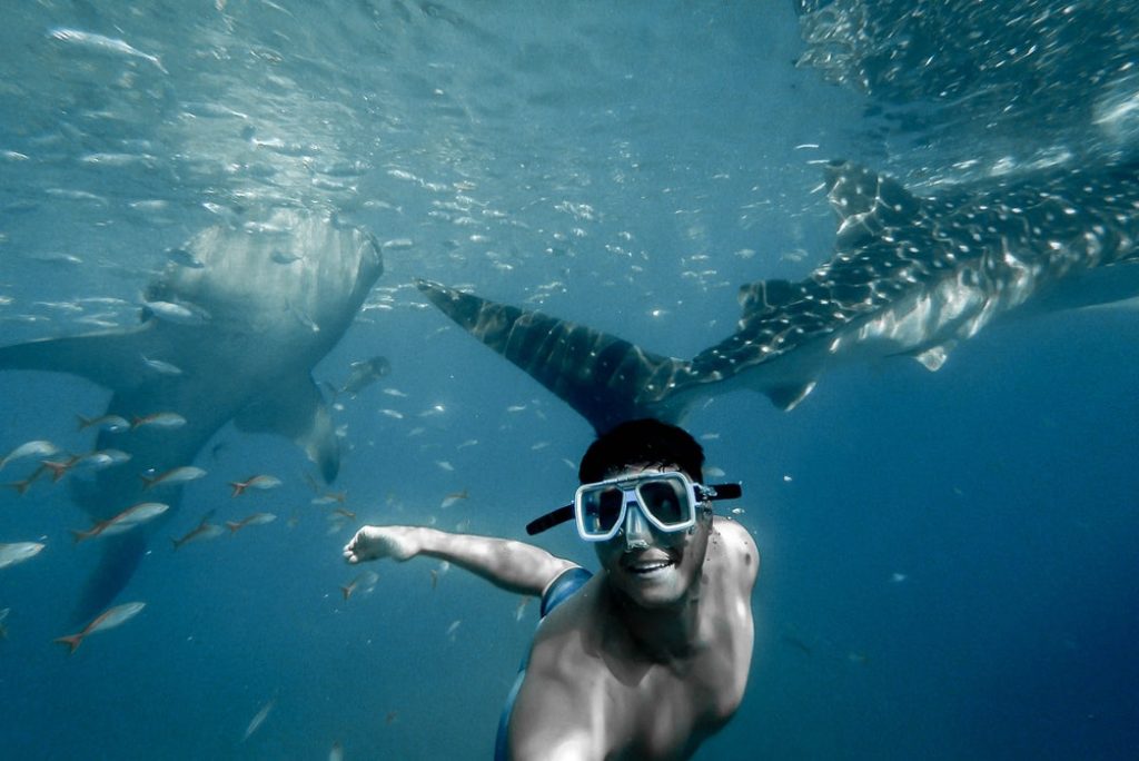 Donsol | A Guide to Whale Shark City