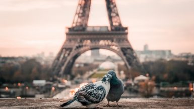 Photo by Fabrizio Verrecchia on Unsplash