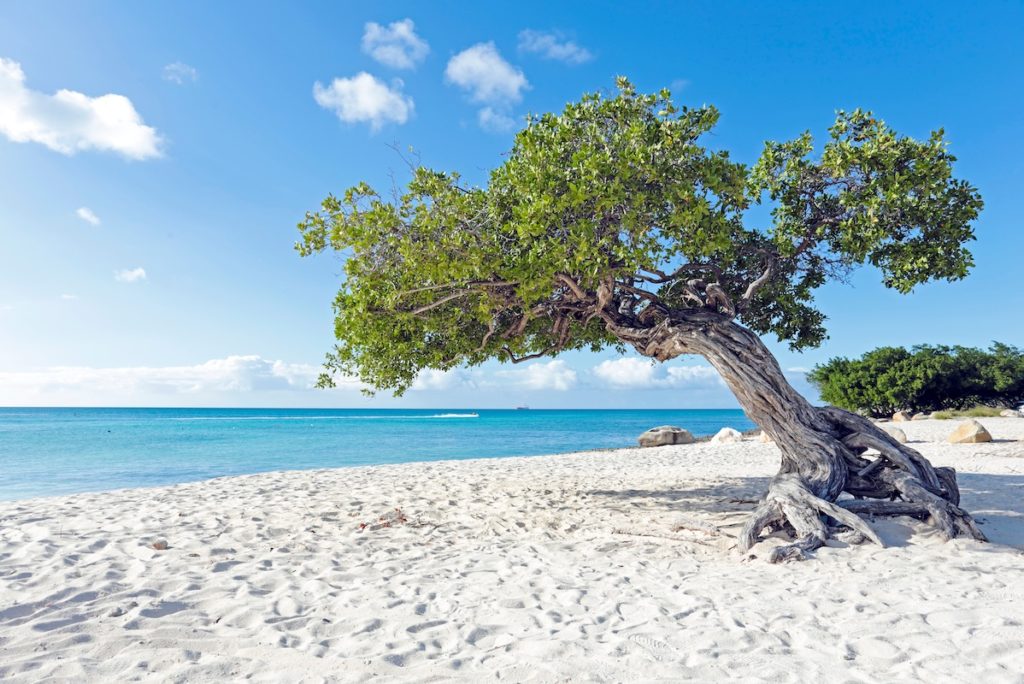 A Brief Guide To The ABC Islands – Aruba, Bonaire, and Curaçao