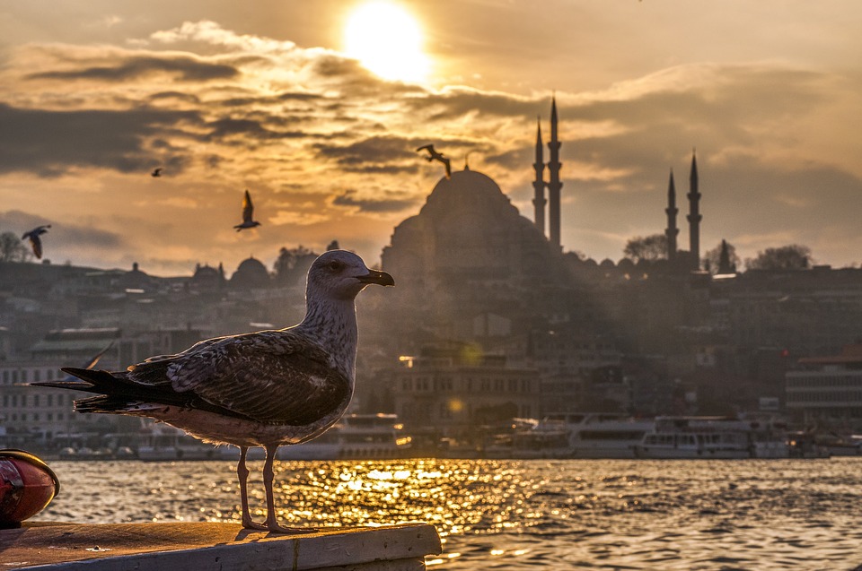 5 Istanbul Do’s                                             (As advised by a local)