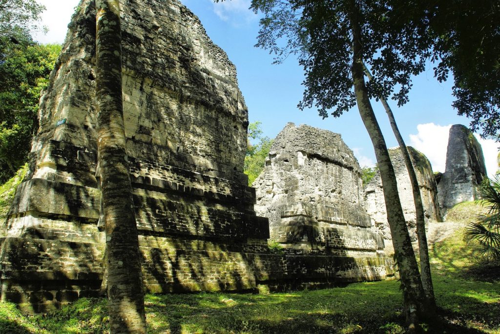 Tikal | Getting Lost in the Land of the Maya