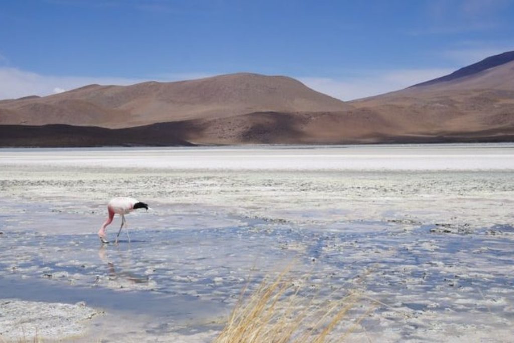 Salar de Uyuni | The 10 Best Ways to Experience the World’s Largest Salt Flat