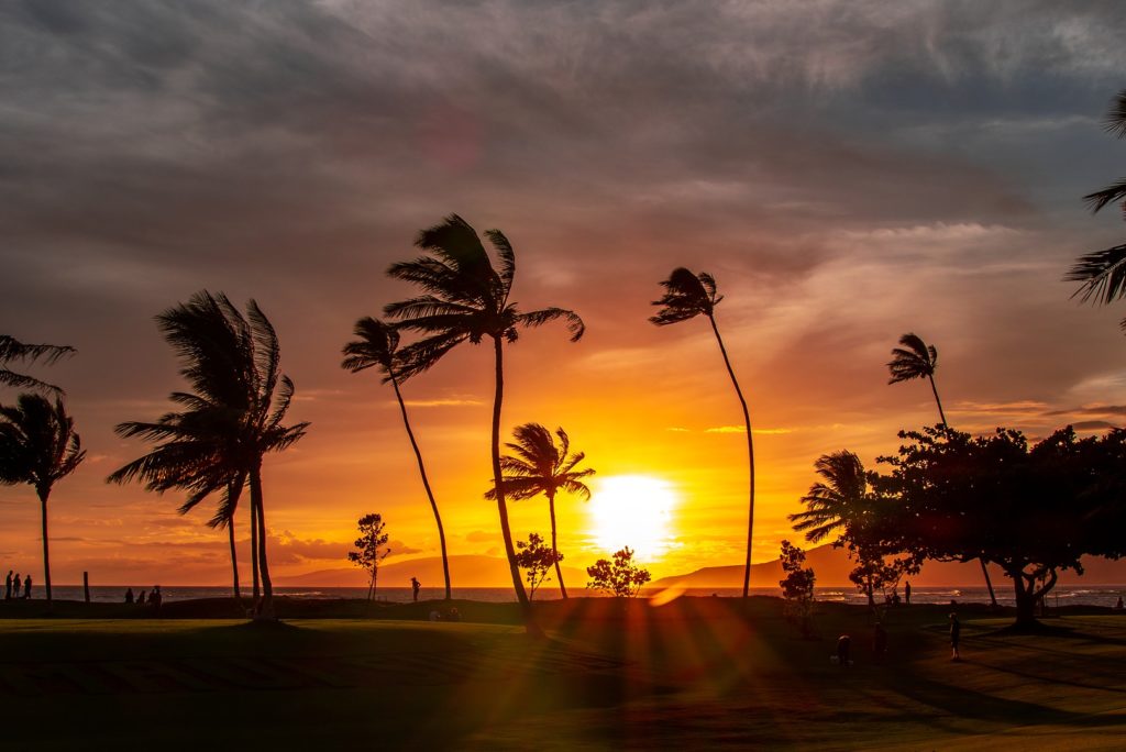 Escape to the Tropical Paradise of Maui