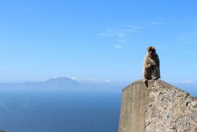 Gibraltar